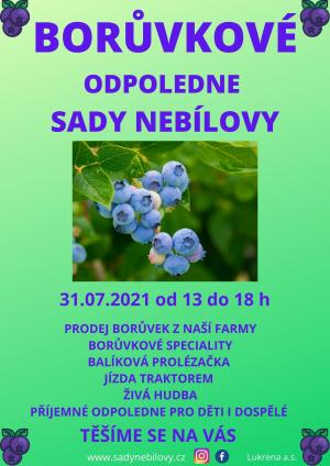 BORŮVKOVÉ ODPOLEDNE SADY NEBÍLOVY 