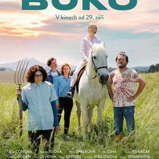 Buko - kino Chlumčany 1